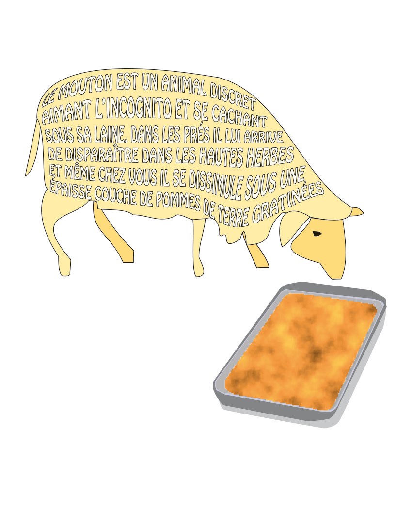 Shepherd's pie